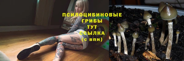 кокс Армянск