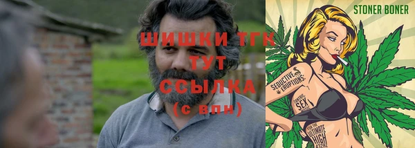 сатива Алексеевка